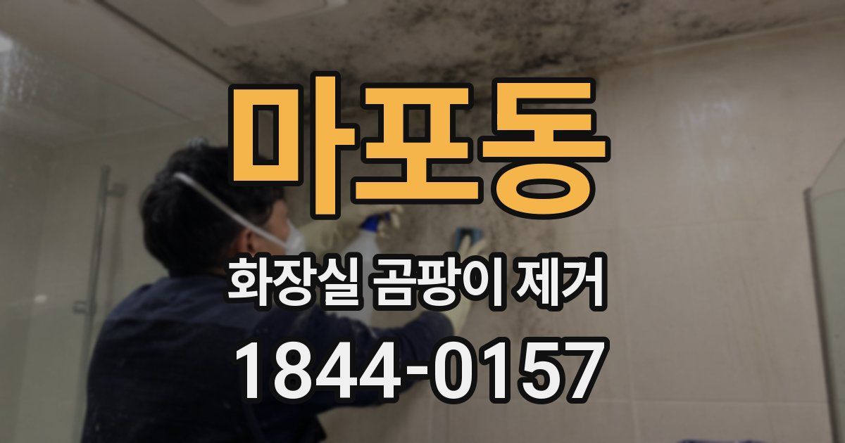 마포동 화장실 곰팡이 제거