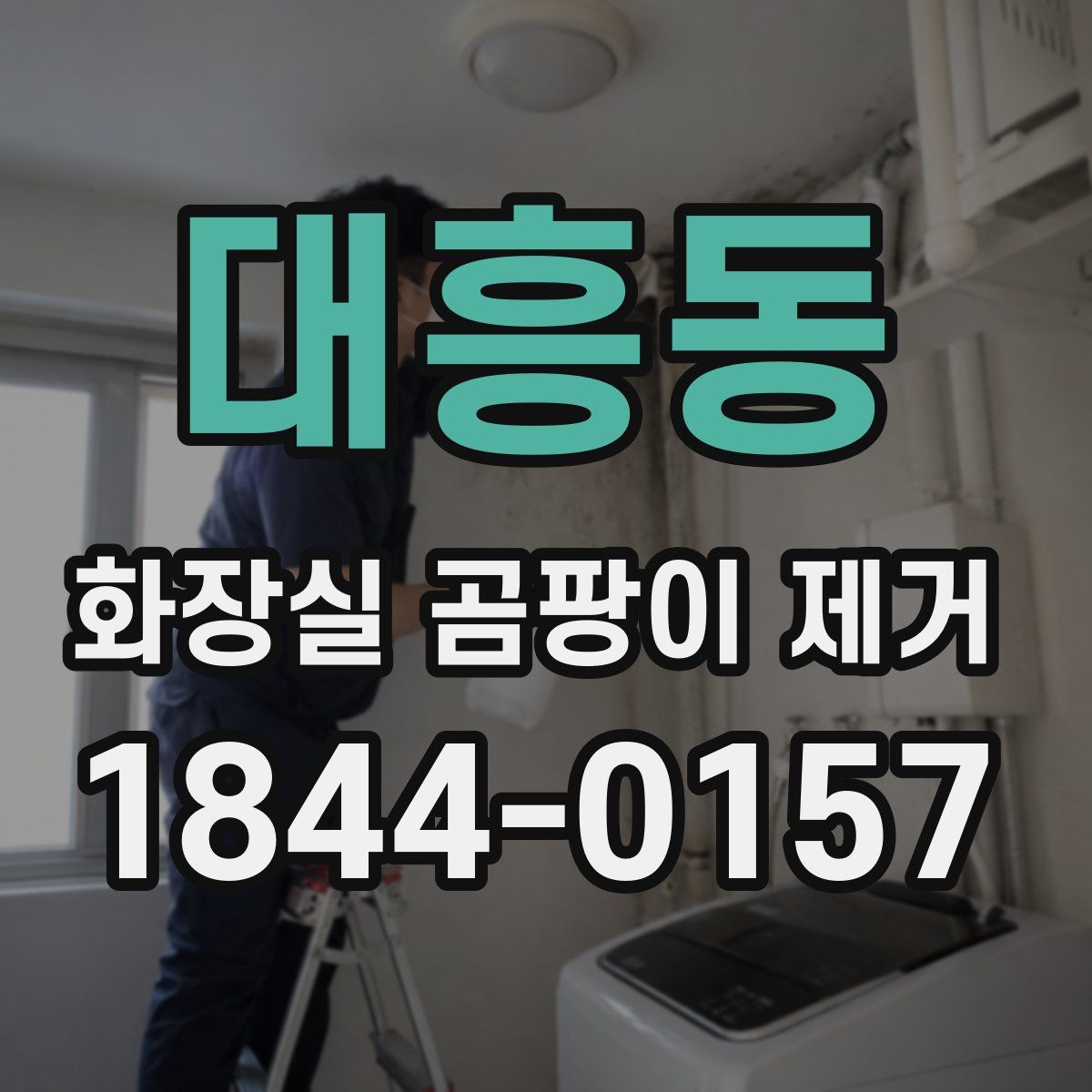 대흥동 화장실 곰팡이 제거