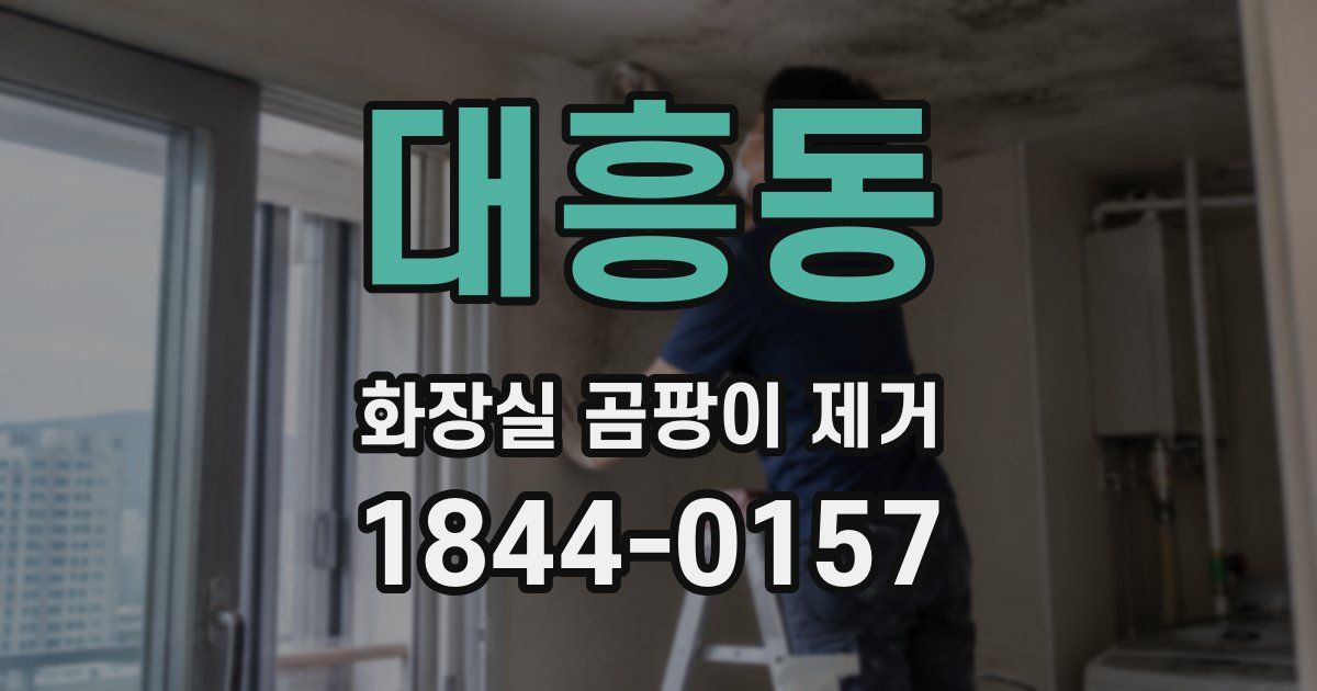대흥동 화장실 곰팡이 제거