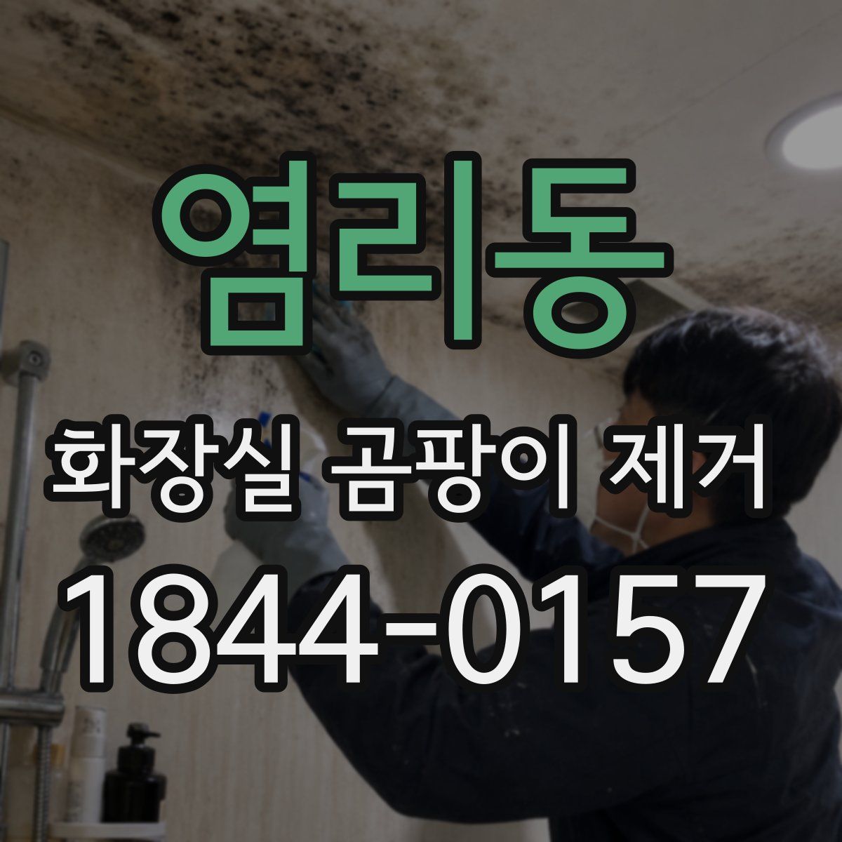 염리동 화장실 곰팡이 제거