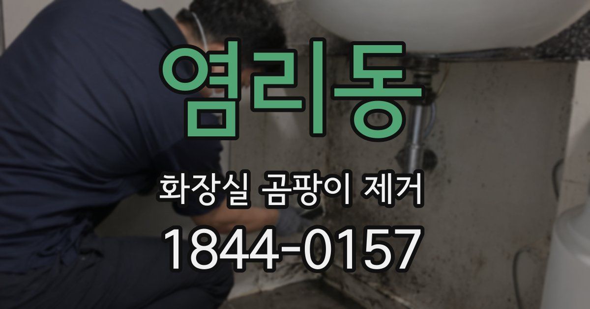 염리동 화장실 곰팡이 제거