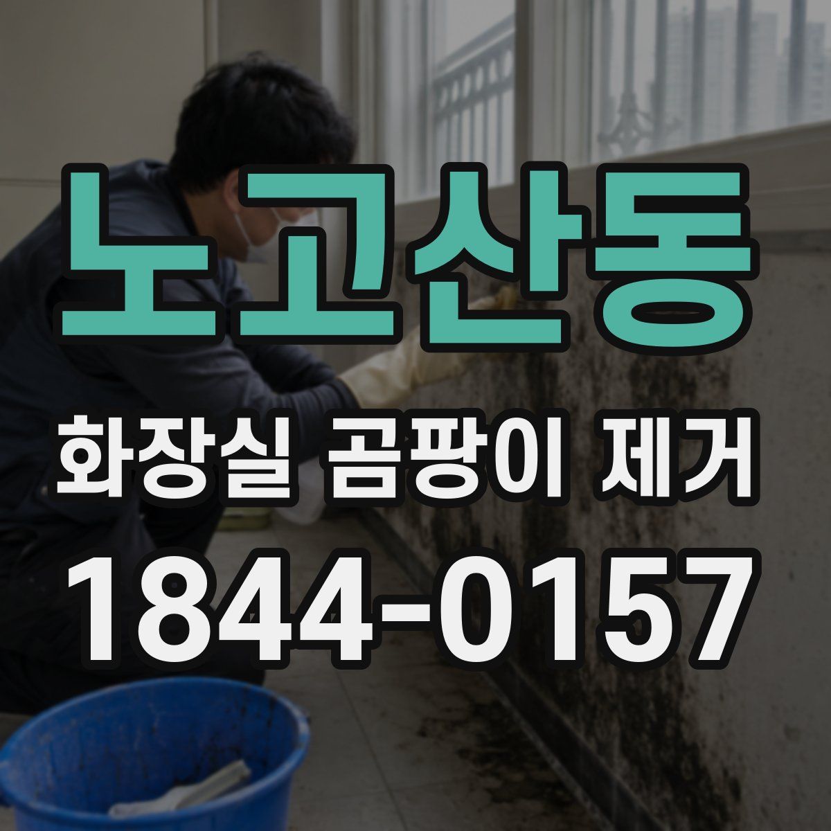 노고산동 화장실 곰팡이 제거