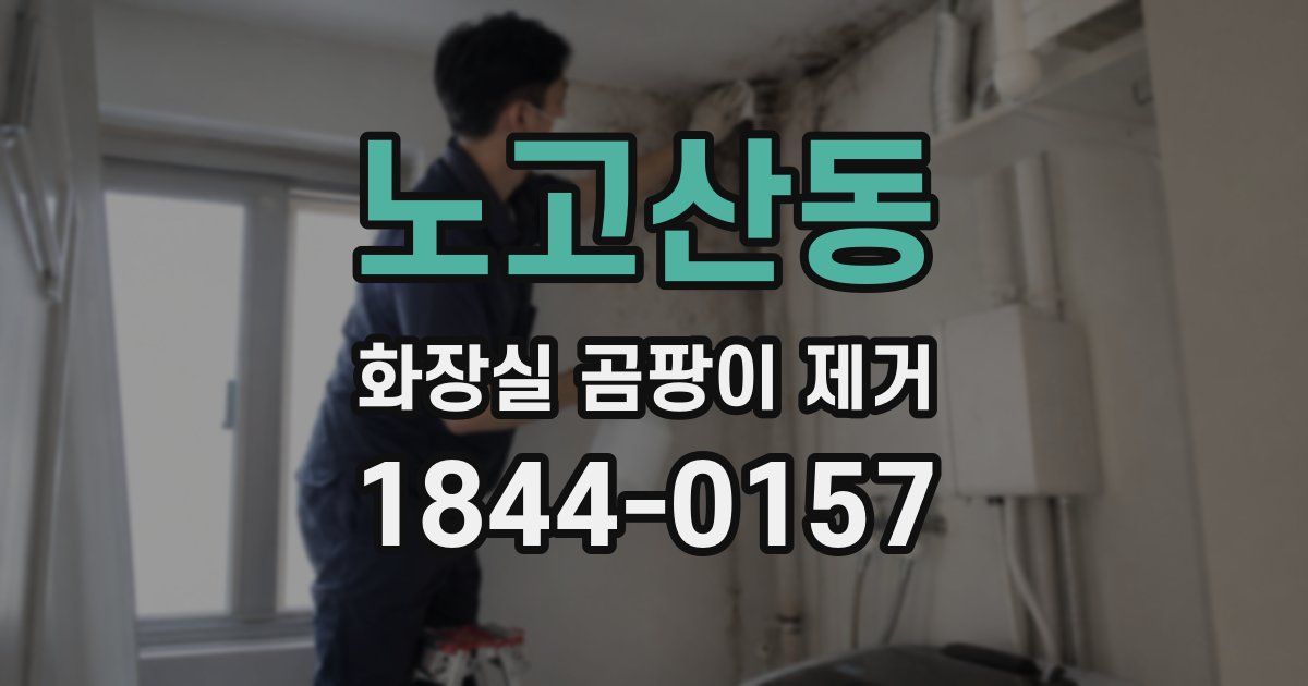 노고산동 화장실 곰팡이 제거