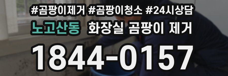노고산동 화장실 곰팡이 제거