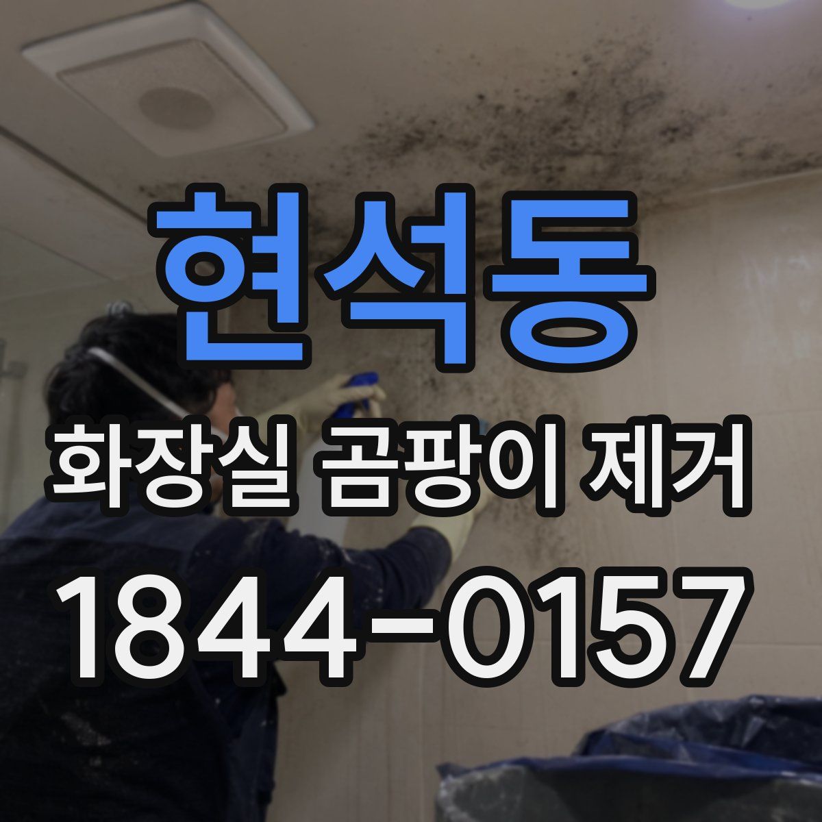 현석동 화장실 곰팡이 제거