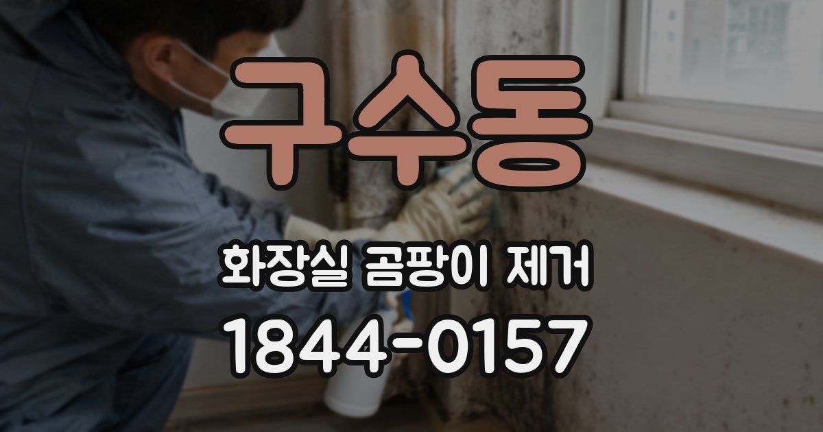 구수동 화장실 곰팡이 제거