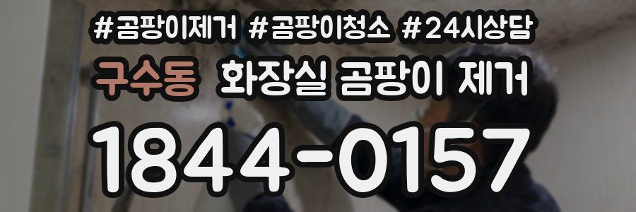 구수동 화장실 곰팡이 제거