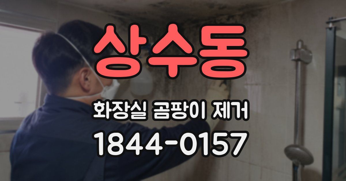상수동 화장실 곰팡이 제거
