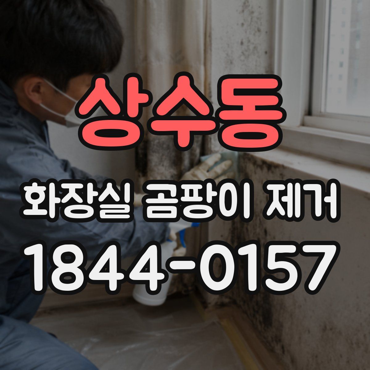 상수동 화장실 곰팡이 제거