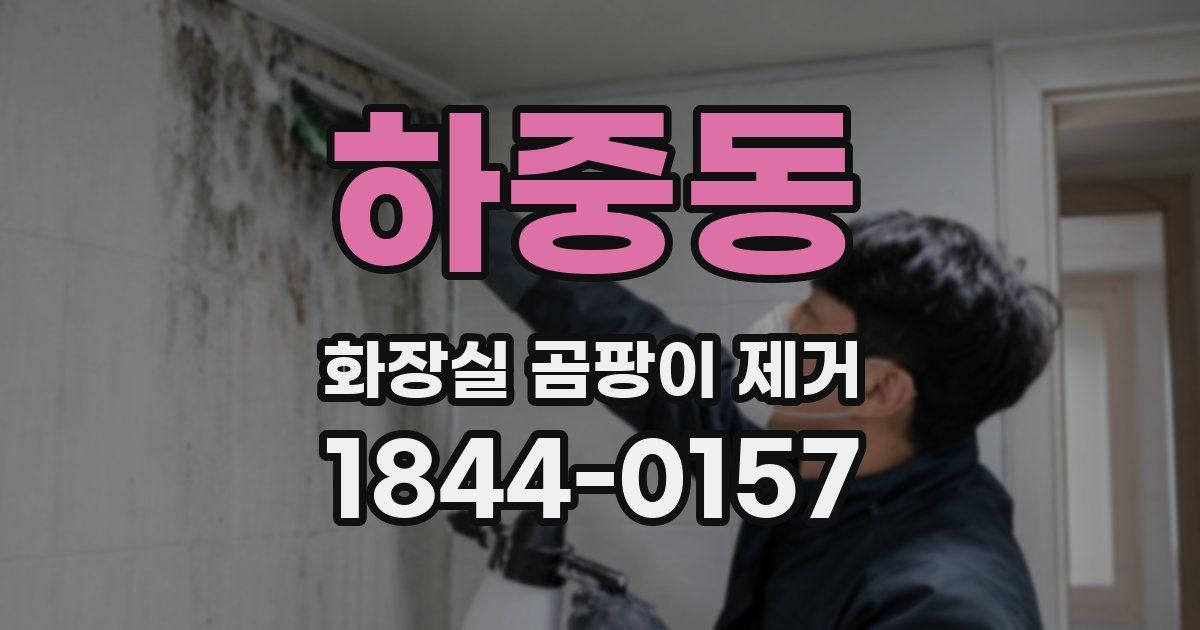 하중동 화장실 곰팡이 제거