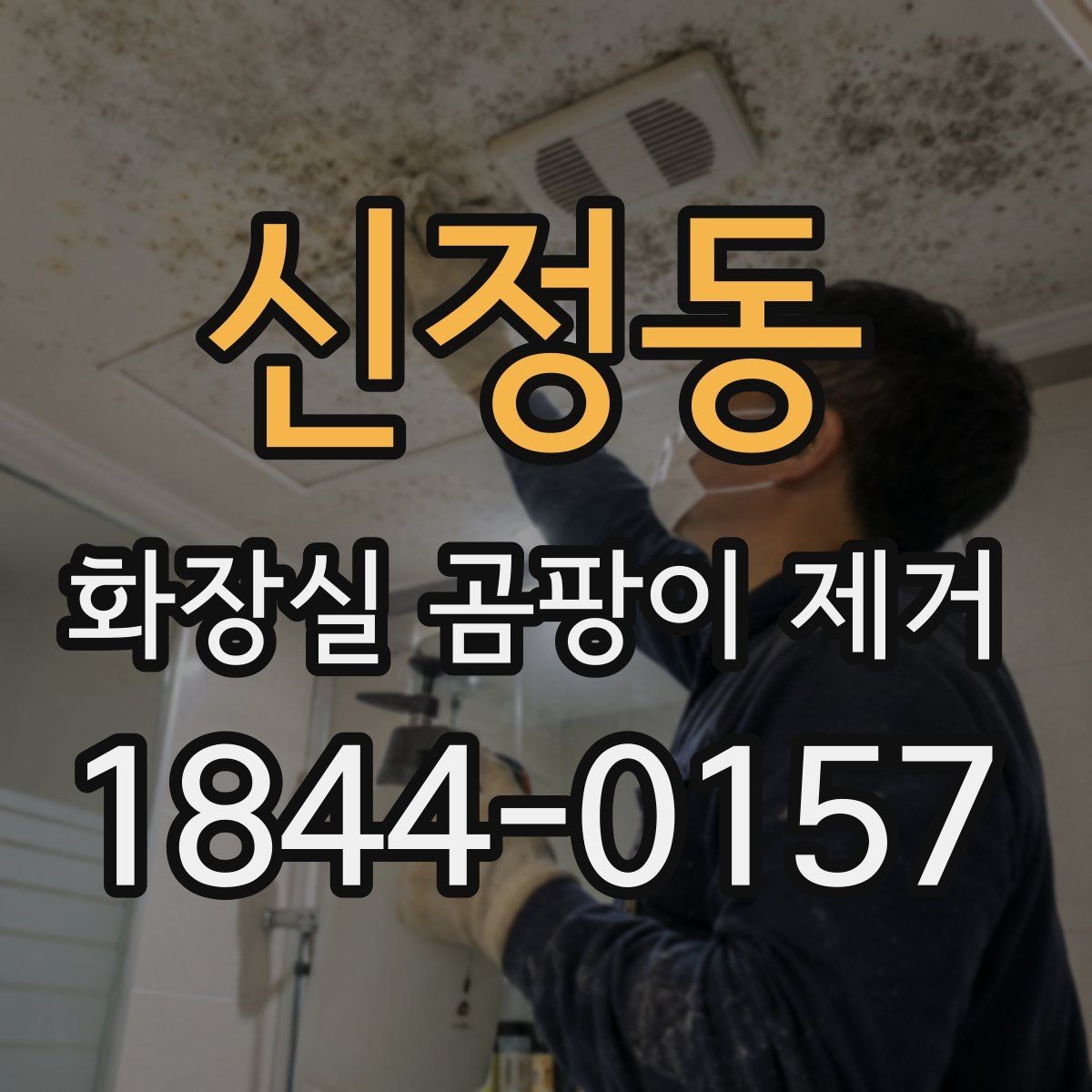 신정동 화장실 곰팡이 제거 줄눈에 스며든 얼룩까지 확인하는 법