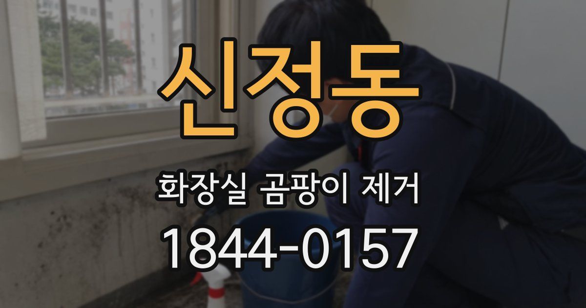 신정동 화장실 곰팡이 제거