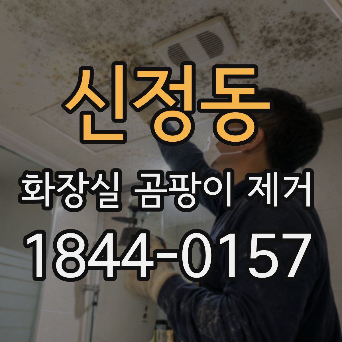신정동 화장실 곰팡이 제거