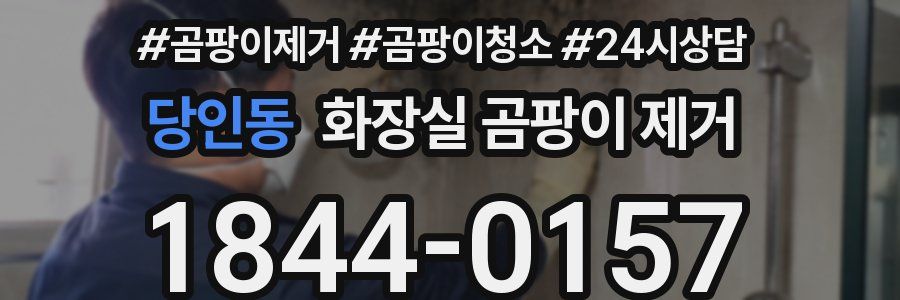 당인동 화장실 곰팡이 제거