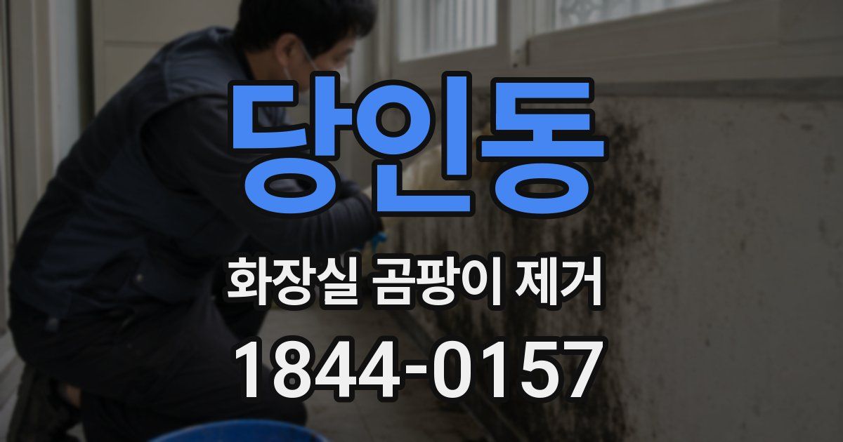 당인동 화장실 곰팡이 제거