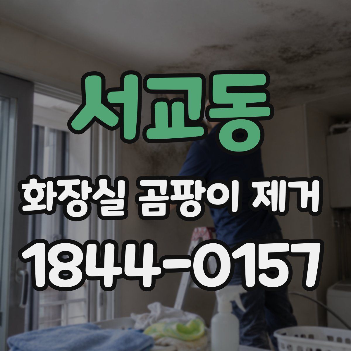 서교동 화장실 곰팡이 제거