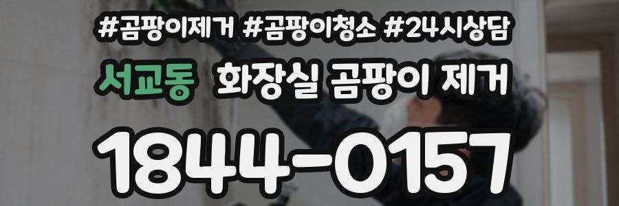 서교동 화장실 곰팡이 제거