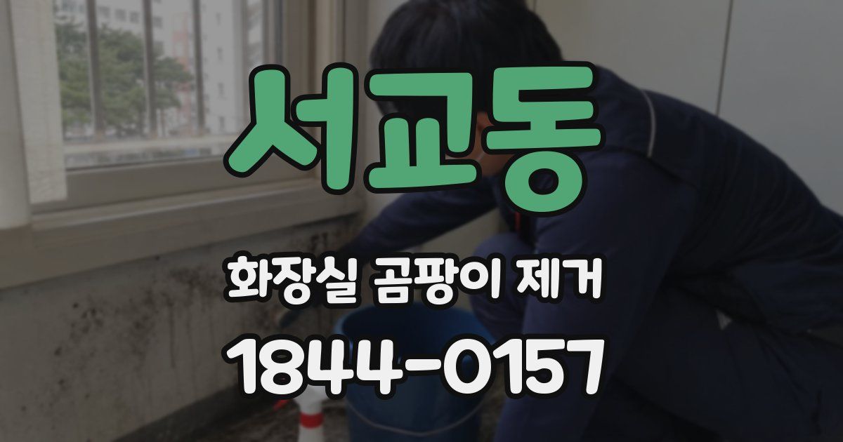 서교동 화장실 곰팡이 제거