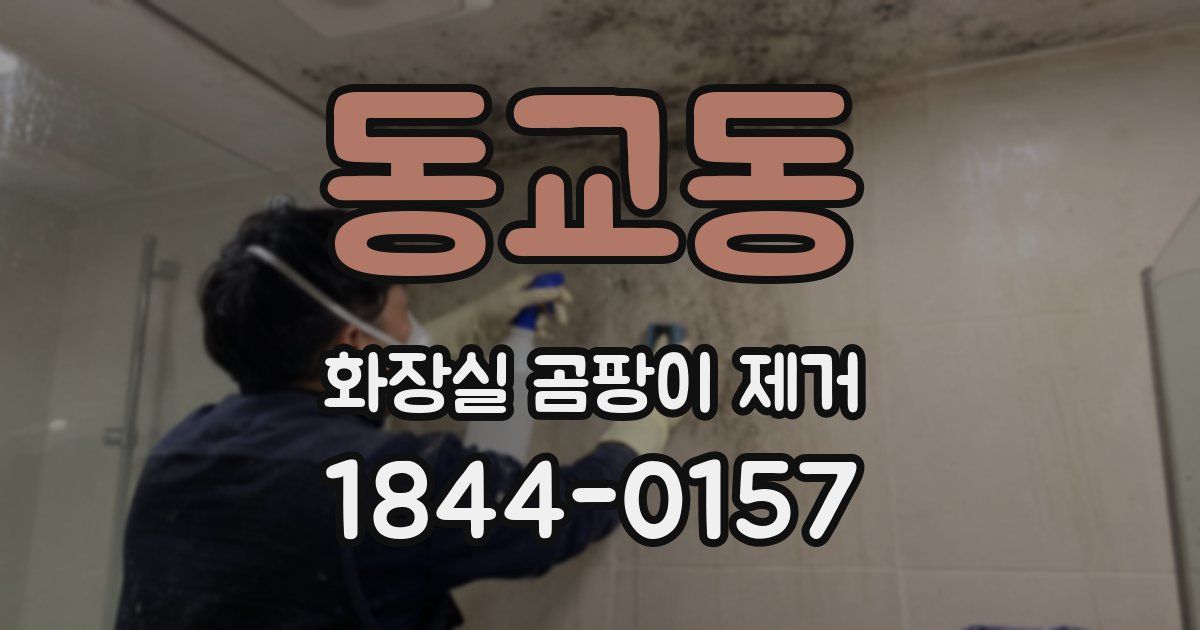 동교동 화장실 곰팡이 제거