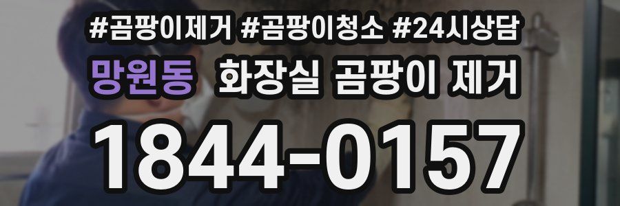 망원동 화장실 곰팡이 제거