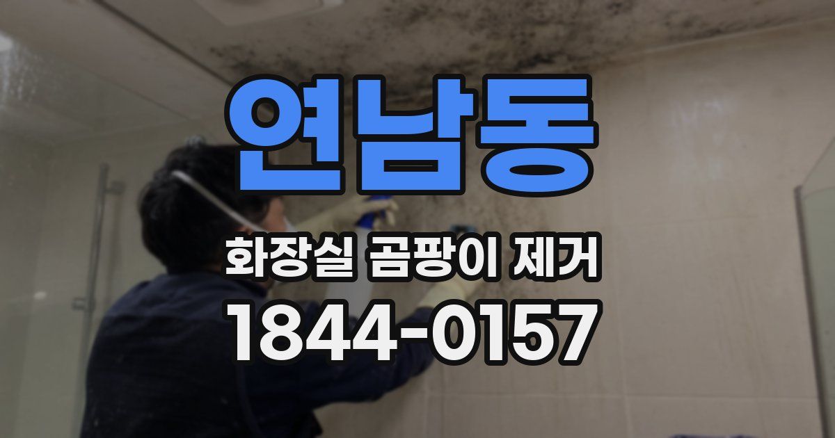 연남동 화장실 곰팡이 제거