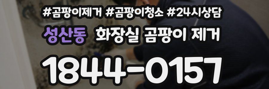 성산동 화장실 곰팡이 제거