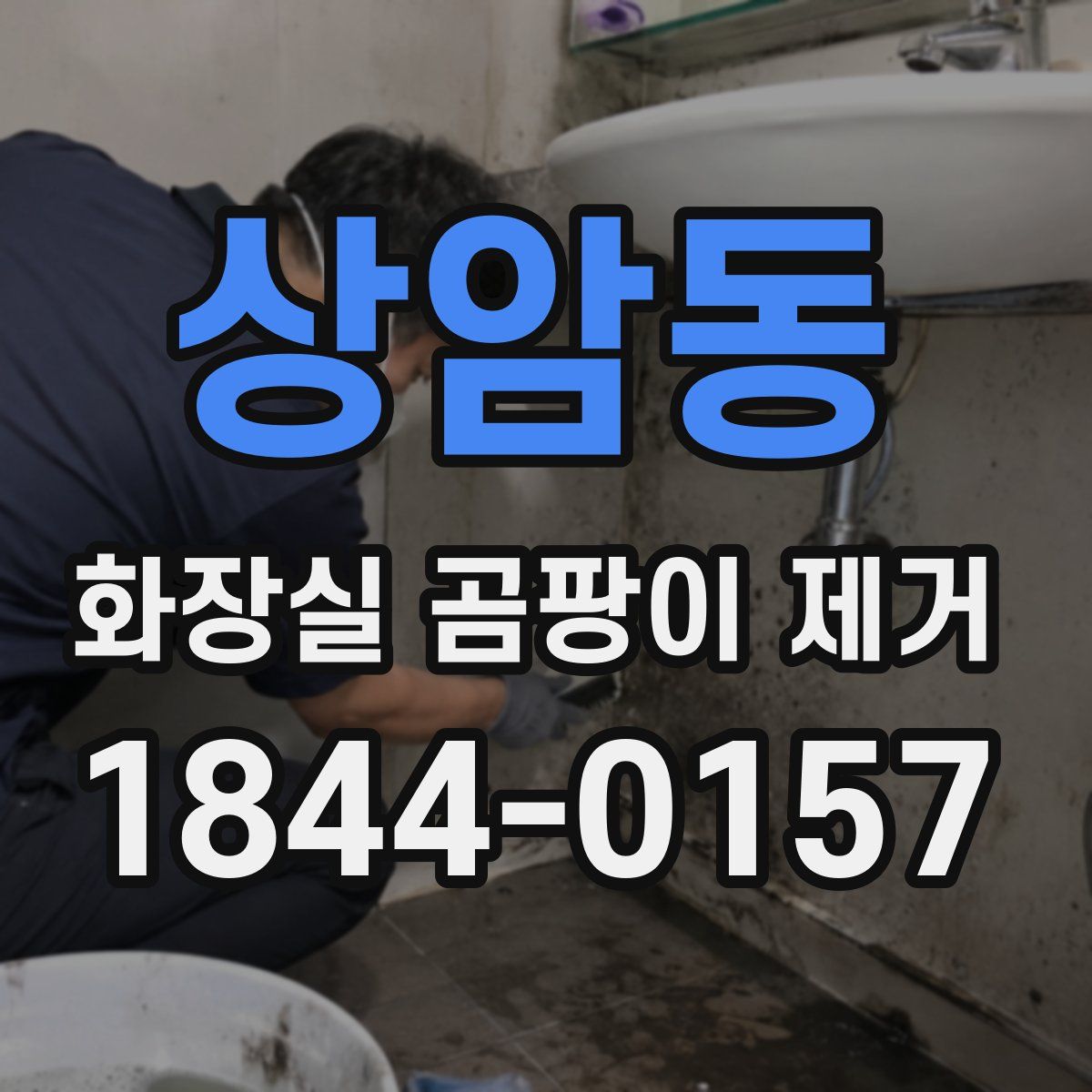 상암동 화장실 곰팡이 제거