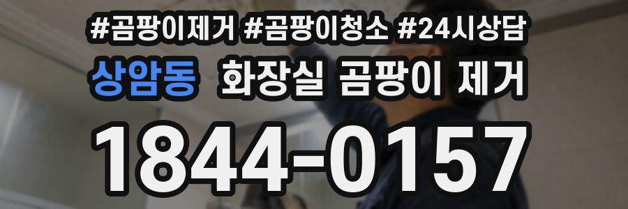 상암동 화장실 곰팡이 제거