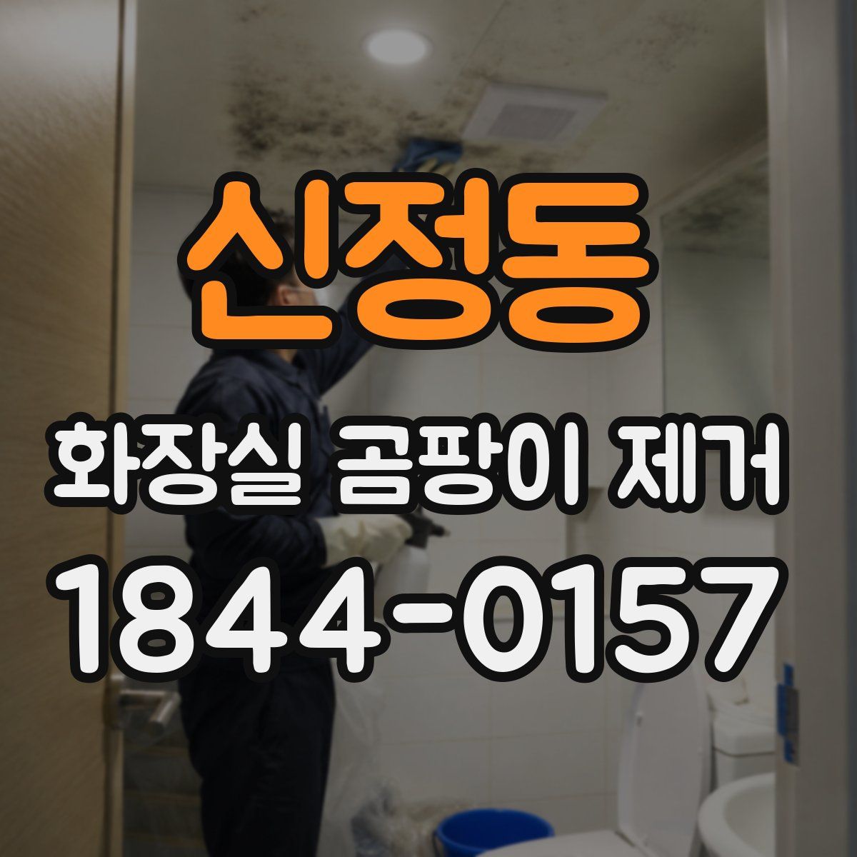 신정동 화장실 곰팡이 제거