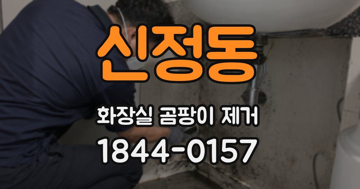 신정동 화장실 곰팡이 제거