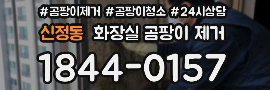 신정동 화장실 곰팡이 제거