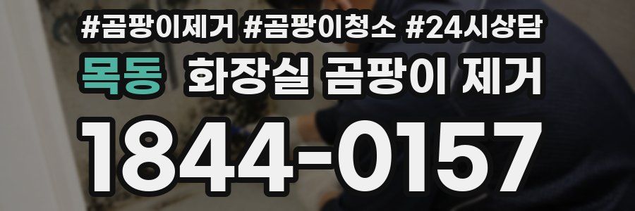 목동 화장실 곰팡이 제거