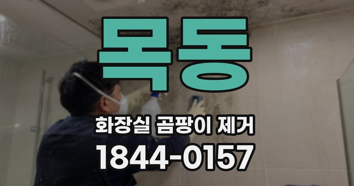 목동 화장실 곰팡이 제거