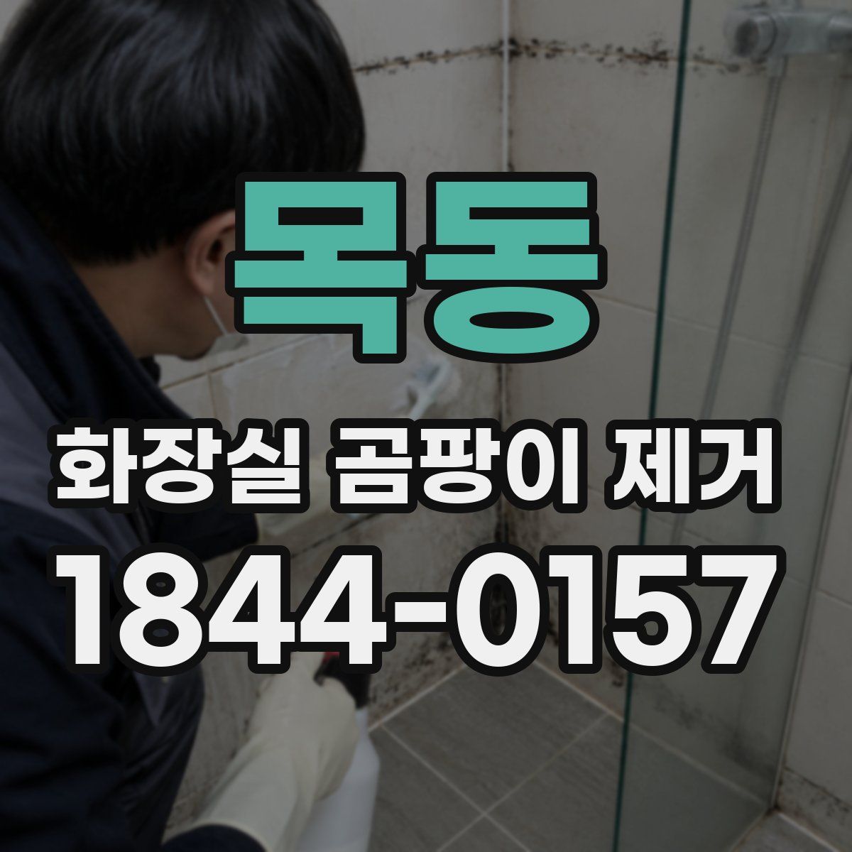 목동 화장실 곰팡이 제거