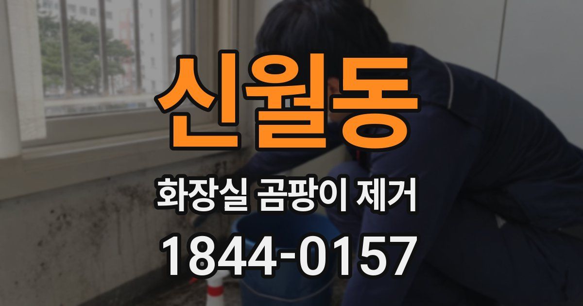 신월동 화장실 곰팡이 제거