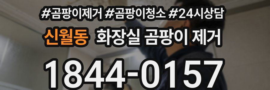 신월동 화장실 곰팡이 제거