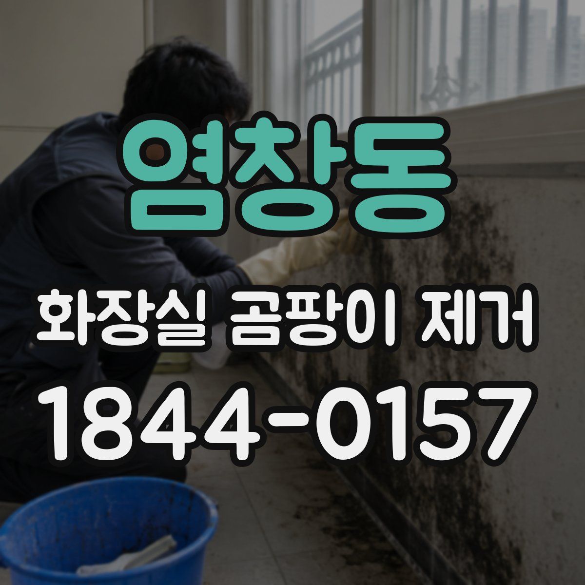 염창동 화장실 곰팡이 제거