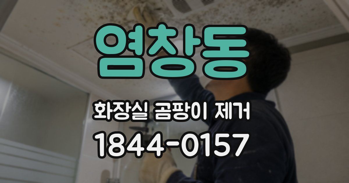 염창동 화장실 곰팡이 제거