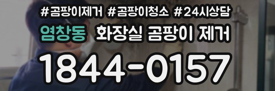 염창동 화장실 곰팡이 제거