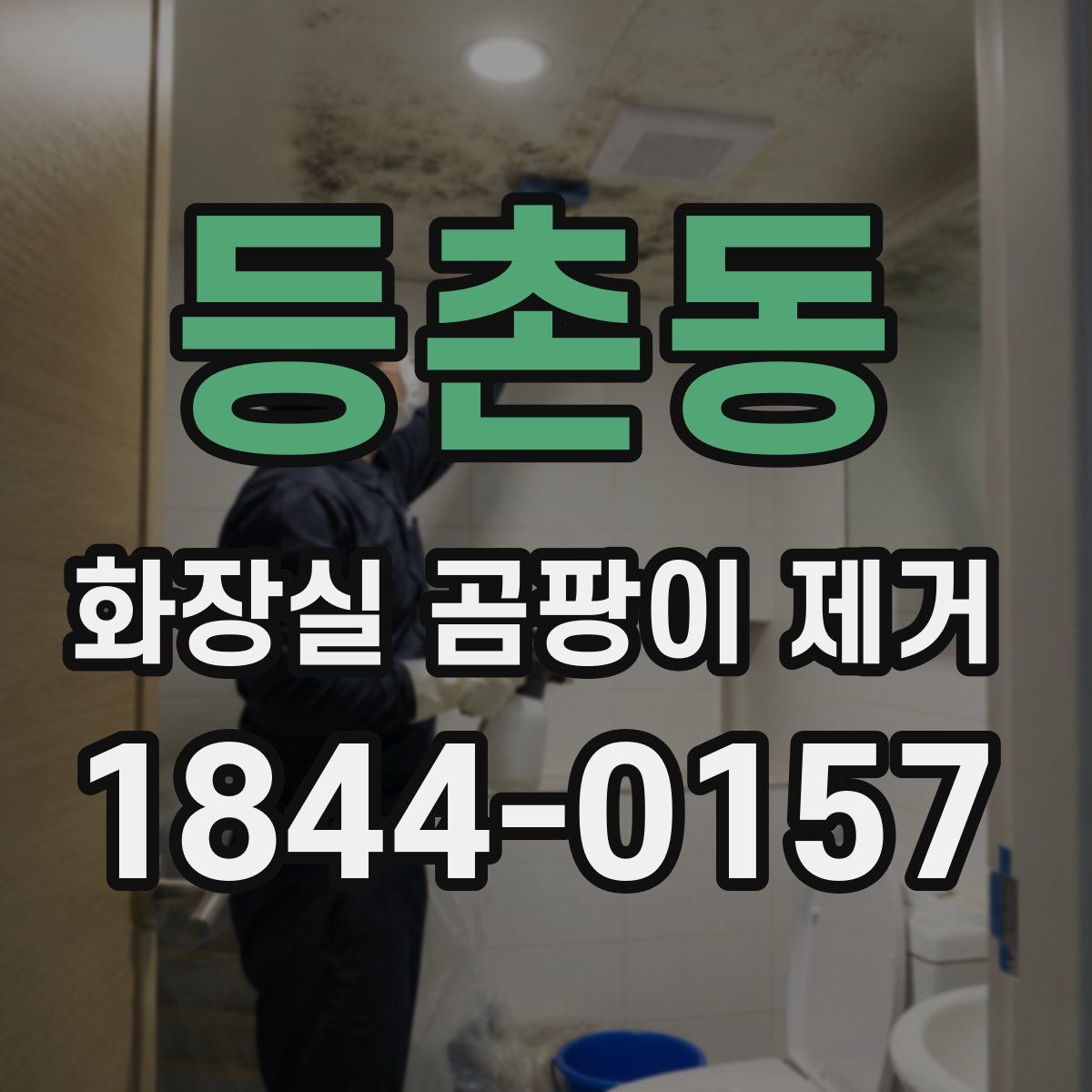 등촌동 화장실 곰팡이 제거