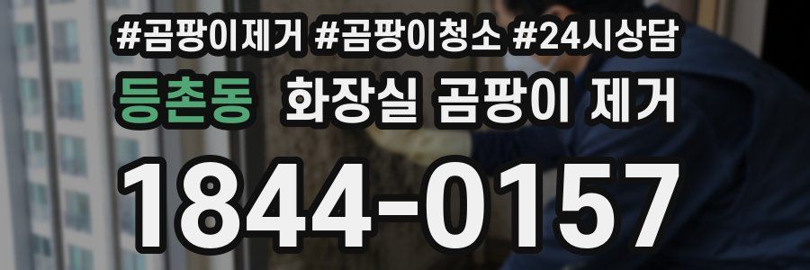등촌동 화장실 곰팡이 제거