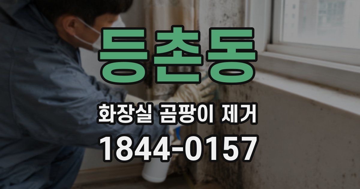 등촌동 화장실 곰팡이 제거