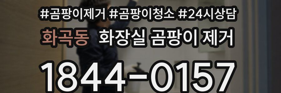 화곡동 화장실 곰팡이 제거