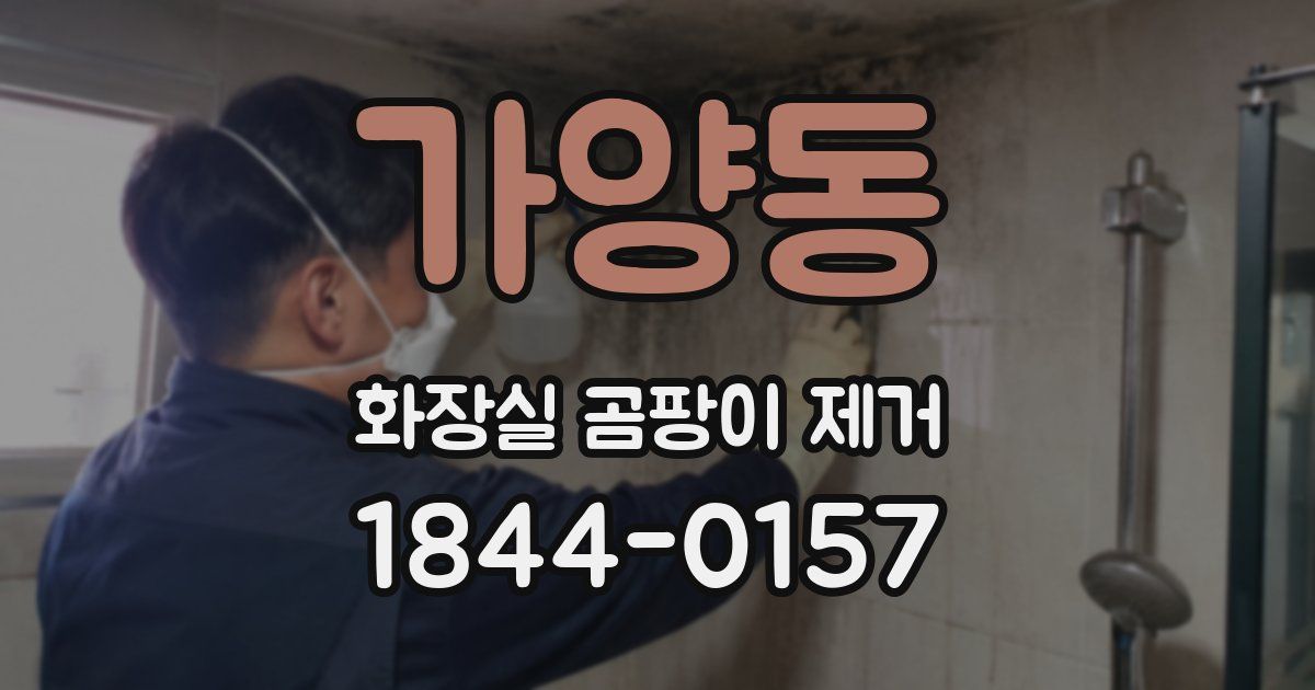 가양동 화장실 곰팡이 제거