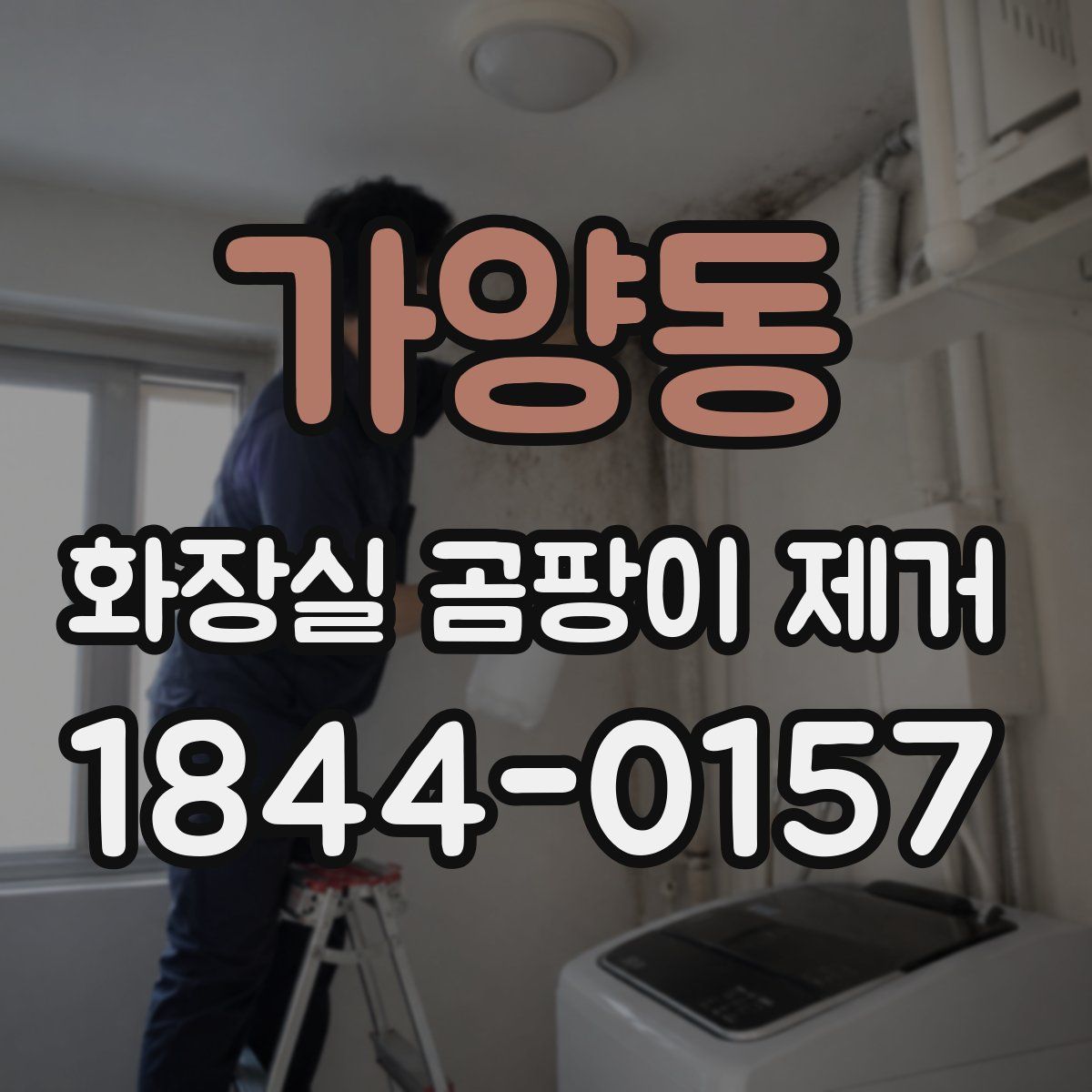가양동 화장실 곰팡이 제거