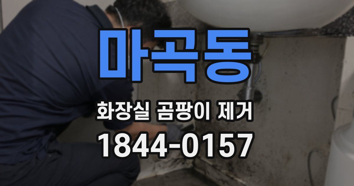 마곡동 화장실 곰팡이 제거