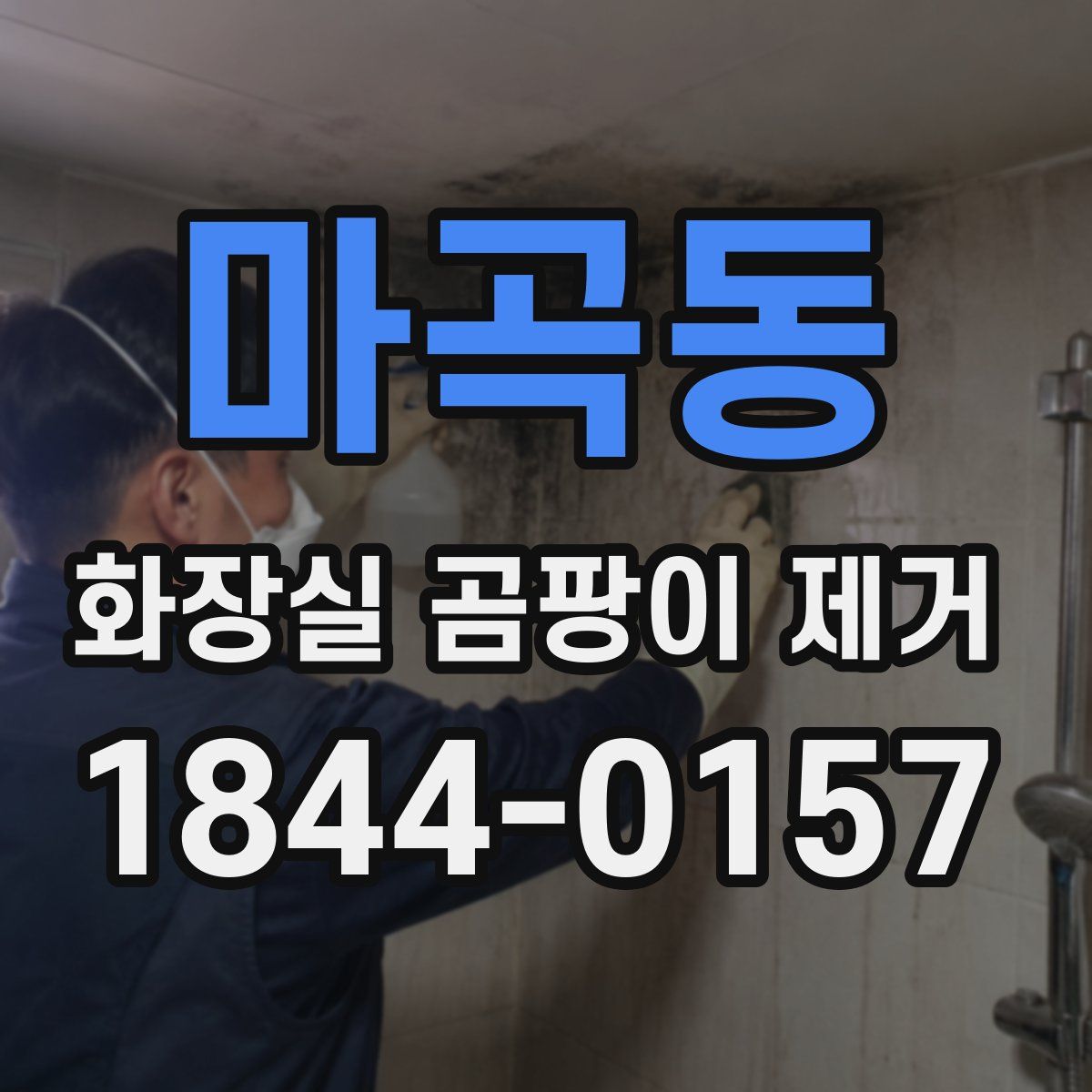 마곡동 화장실 곰팡이 제거