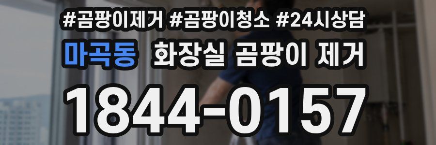 마곡동 화장실 곰팡이 제거