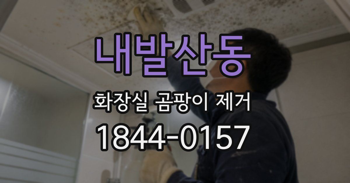 내발산동 화장실 곰팡이 제거