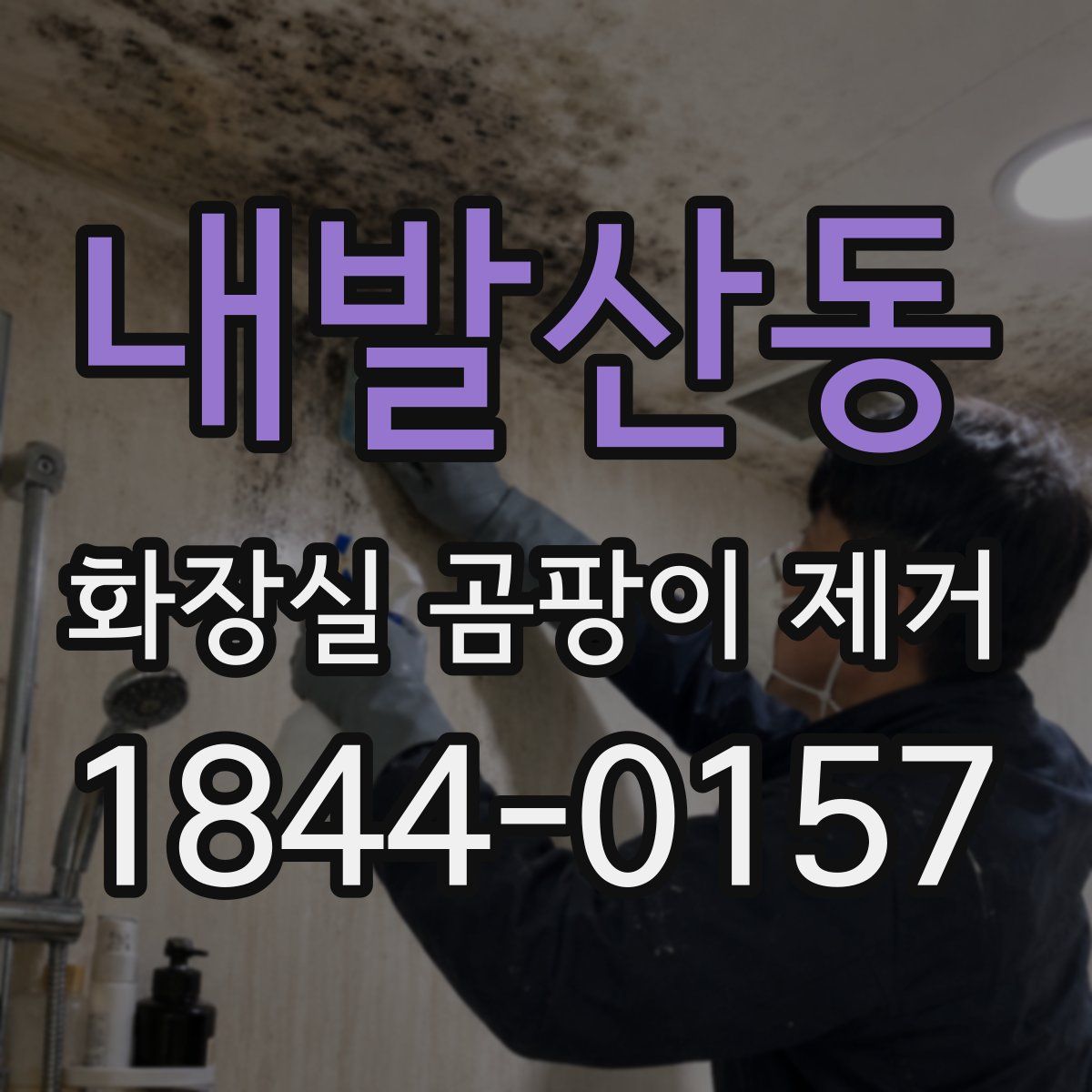 내발산동 화장실 곰팡이 제거